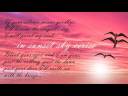 In Sunset Sky Cerise