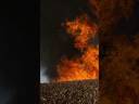 Ukraina, My Pain